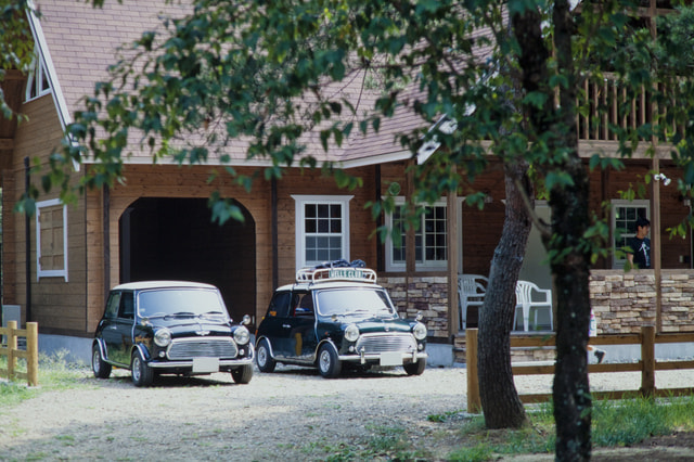 苔の上に透明な地球儀