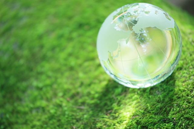 苔の上に透明な地球儀